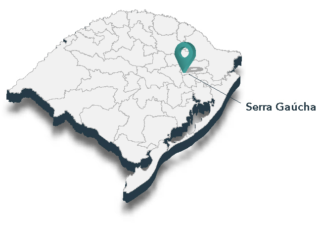 Quem somos